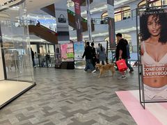 -砂之船奥莱(南京江宁店)