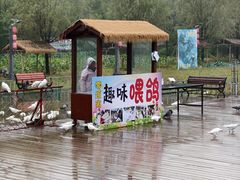 -渭南桃花源民俗文化园