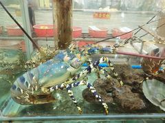-寻味顺德·南记酒家·传统顺德菜·鱼生(广源路店)