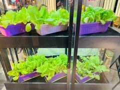 -番食园鲜食火锅(高新店)