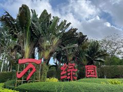 -万绿园