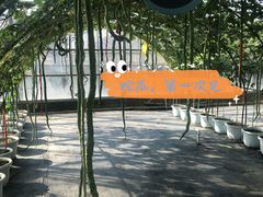 -光明农场大观园