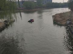 -大兴滨河森林公园