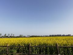 -汉长安城未央宫国家考古遗址公园