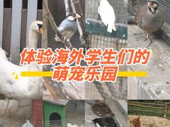 -北京市海淀外国语实验学校
