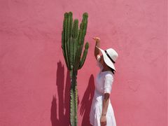 -漳州滨海火山岛自然生态风景区