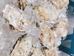 -Oyster Talks 四度蚝法餐厅
