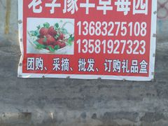 -1982农场