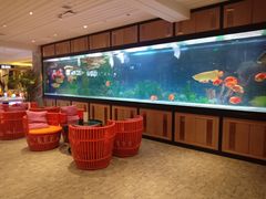 -弘安丽水温泉酒店
