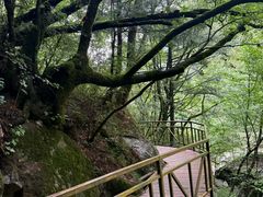 -青峰峡国家森林公园