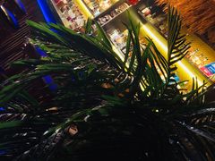 -The Tiki Bungalow提基小木屋酒吧