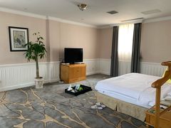 -圣爵菲斯大酒店(长沙世界之窗店)