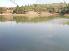 -南京市无想山景区