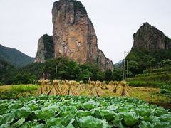 -楠溪江石桅岩