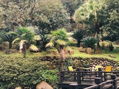 -明月山天沐温泉度假村