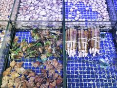 -青蓬蒸汽海鲜·深圳老字号·团建聚会(壹方城店)
