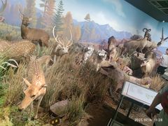 -陕西自然博物馆