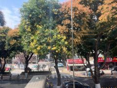 -万山楼海鲜酒家·二十三年老字号