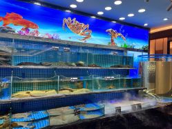 -宴宾楼·宴会厅(南开店)
