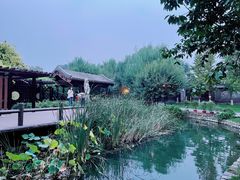 -春风习习