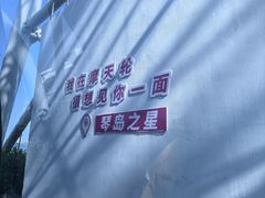 -琴岛之星摩天轮
