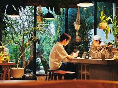 -自由生长植物工作室(深港花卉中心店)