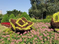 -南宁南湖公园