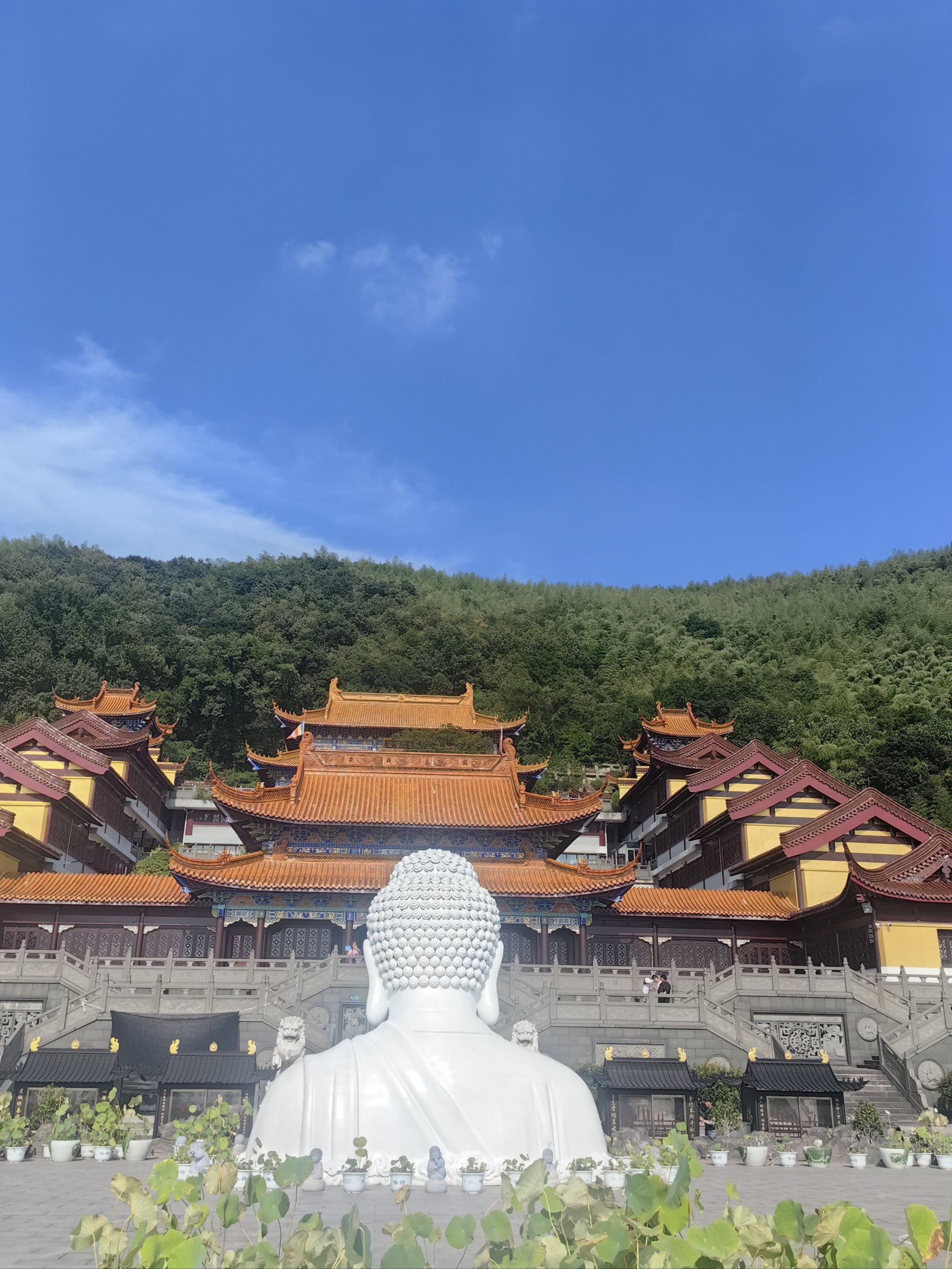 姜堰观音禅寺图片