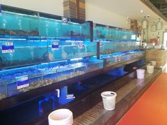 水产区-南海渔家•海鲜•正宗海南菜(海棠湾店)