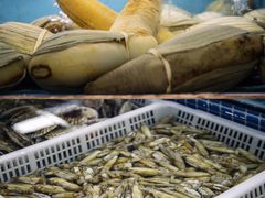 -渔人湾码头海鲜市场负二楼