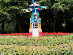 -上海共青森林公园