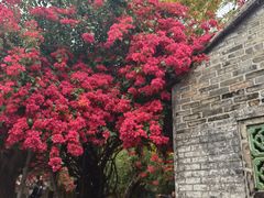 -东莞市可园博物馆