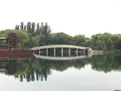 -百脉泉景区