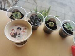 -Dinoo 片场咖啡(酒仙桥店)