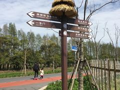 -上海长兴岛郊野公园