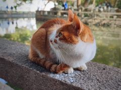 -西园戒幢律寺