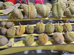 -Durian Shop
