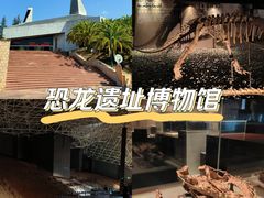 -世界恐龙谷景区