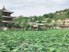 -渭南桃花源民俗文化园