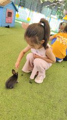 -萌宠亲子动物乐园(槐房万达店)