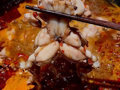 -老天桥蛙炉火锅(姑苏总店)