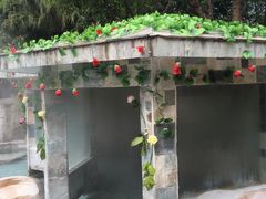 -碧水湾温泉