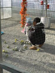 -萌宠亲子动物乐园(槐房万达店)