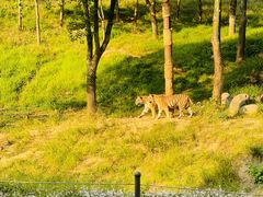 -杭州野生动物世界