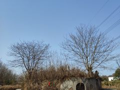 -桤木河湿地公园