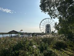 -苏州太湖湖滨国家湿地公园