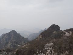 -狼牙山风景区