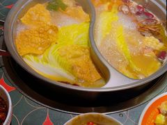 五指毛桃鸡汤配潮汕鲜虾生滚粥-南城十里潮汕鲜牛火锅·鲜虾生滚粥(融汇老商埠店)