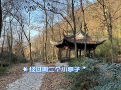 -南京老山国家森林公园