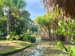 -中国科学院西双版纳热带植物园